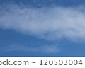 Blue Sky and Downcast 120503004