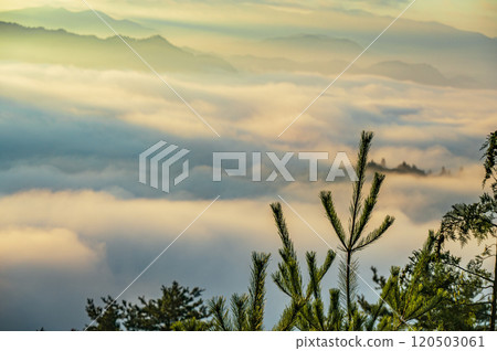 A sea of clouds bathed in the morning sun [Hirotsu, Ikeda-cho, Kitaazumi-gun] 120503061