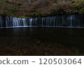 Orange autumn leaves and Shiraito Falls 120503064