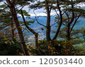 透過樹林可以看到山脈 120503440