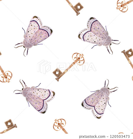 Antique lock with beautiful key and pink moth watercolor seamless pattern isolated on white. Hand painted illustration perfect for wrapping paper, textile, stationary decor, scrapbooking. Vintage Antique lock with beautiful key and pink moth watercolor seamless pattern isolated on white. Hand painted illustration perfect for wrapping paper, textile, stationary decor, scrapbooking. Vintage 120503473