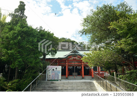 淡島神社【和歌山縣和歌山市】 淡島神社【和歌山縣和歌山市】 120503863