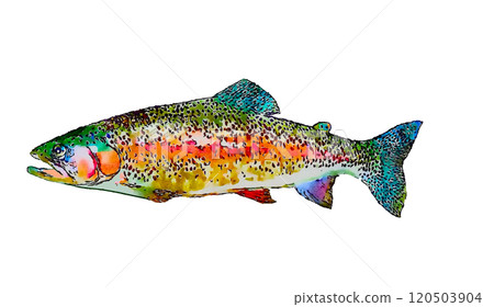 水彩虹鱒魚 120503904