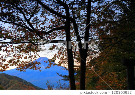 View of Mt. Fuji from Misaka Pass Tenka Chaya in autumn colors View of Mt. Fuji from Misaka Pass Tenka Chaya in autumn colors 120503932