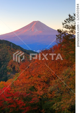 從秋色中的御坂山口天花茶屋眺望富士山 120503944