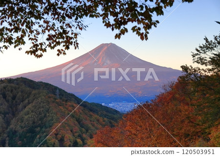 從秋色中的御坂山口天花茶屋眺望富士山 120503951