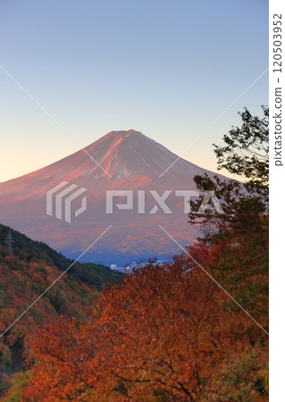 View of Mt. Fuji from Misaka Pass Tenka Chaya in autumn colors View of Mt. Fuji from Misaka Pass Tenka Chaya in autumn colors 120503952