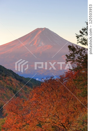 View of Mt. Fuji from Misaka Pass Tenka Chaya in autumn colors View of Mt. Fuji from Misaka Pass Tenka Chaya in autumn colors 120503953