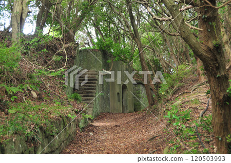 展望台遺址(由良城據點)【和歌山縣、歌山市】 展望台遺址(由良城據點)【和歌山縣、歌山市】 120503993