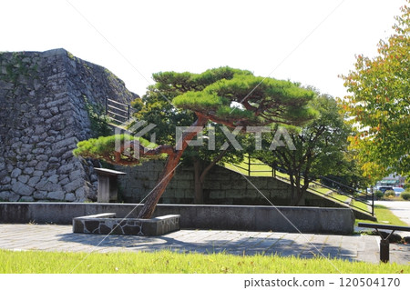 Ishigaki of Komoro Castle Ishigaki of Komoro Castle 120504170