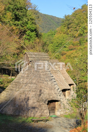 山梨縣源氏村露營地 120504313