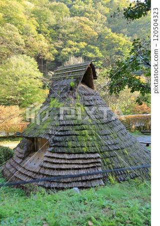 Yamanashi Prefecture Genshimura Campsite 120504323