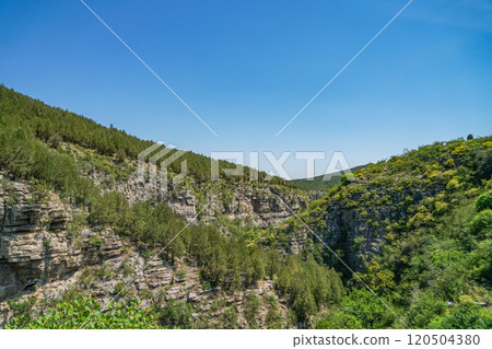 龍洞風景區 120504380