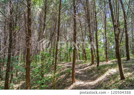 Longdong Scenic Area 120504388