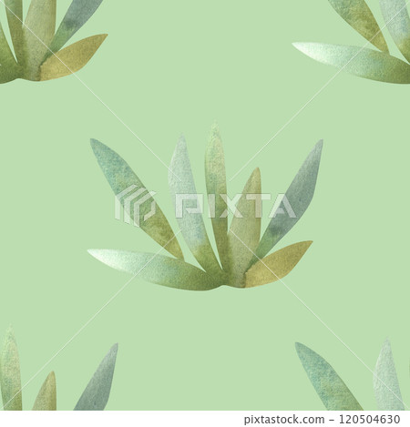 Succulents: seamless watercolor pattern on a white background for wrapping paper and print on fabric, home textiles. Home gardening, hobby. Succulents: seamless watercolor pattern on a white background for wrapping paper and print on fabric, home textiles. Home gardening, hobby. 120504630