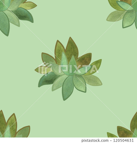 Succulents: seamless watercolor pattern on a white background for wrapping paper and print on fabric, home textiles. Home gardening, hobby. Succulents: seamless watercolor pattern on a white background for wrapping paper and print on fabric, home textiles. Home gardening, hobby. 120504631