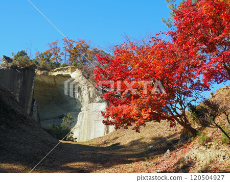 大谷博物館 大谷石礦遺址 120504927
