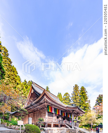 Risshakuji Temple's Konponchudo Hall decorated with autumn leaves Risshakuji Temple's Konponchudo Hall decorated with autumn leaves 120505481