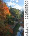 Autumn foliage seen from Takao Bridge in the autumn valley 120505500