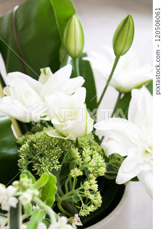 卡薩布蘭卡安排 卡薩布蘭卡安排 120506061