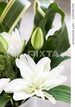 卡薩布蘭卡安排 120506109