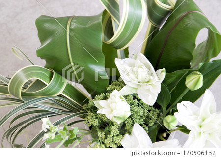 Casablanca Arrangement 120506132