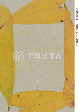 Frame of Japanese paper and yam autumn leaves [Background material] 120506592