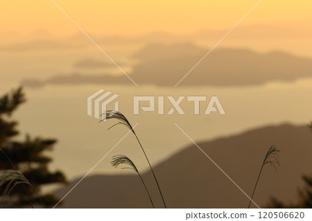 野呂山秋天的景象 野呂山秋天的景象 120506620