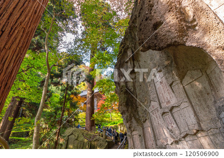 Niomon Gate and Mida Cave in Autumn / Yamadera 120506900
