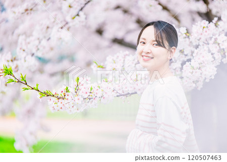 櫻花和年輕的女人 120507463