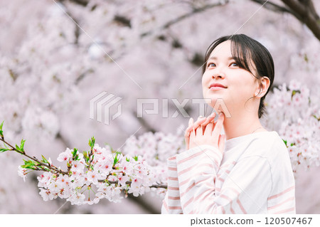 櫻花和年輕的女人 櫻花和年輕的女人 120507467