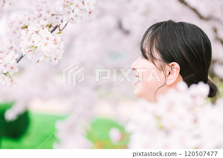 櫻花和年輕的女人 120507477