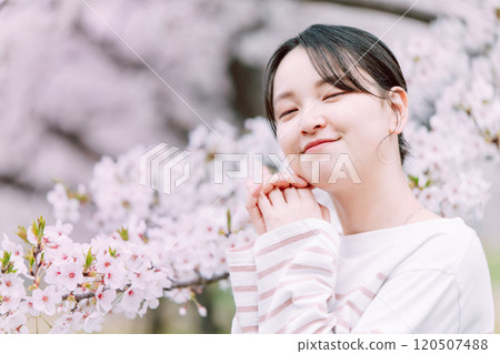 Cherry blossom and young woman Cherry blossom and young woman 120507488