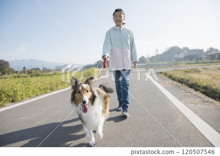Elementary school children walking a dog Elementary school children walking a dog 120507546