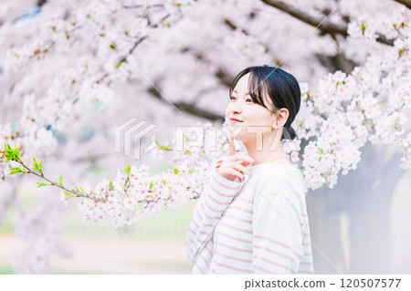 Cherry blossom and young woman Cherry blossom and young woman 120507577