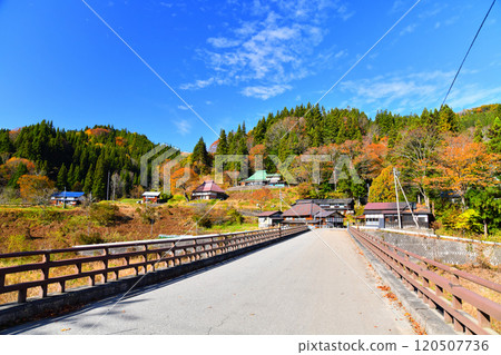 Scenery around Nakatani Bridge/Nakatani River (Otari Village, Nagano Prefecture) [2024.11] 120507736