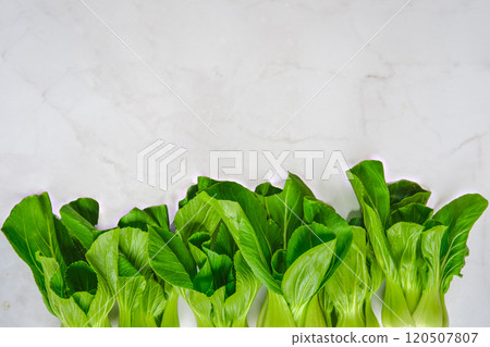 Fresh green bok choy arranged on a marble countertop in bright natural light 120507807