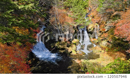 Nikko Ryuzu Falls colored by vibrant autumn foliage Nikko Ryuzu Falls colored by vibrant autumn foliage 120507946