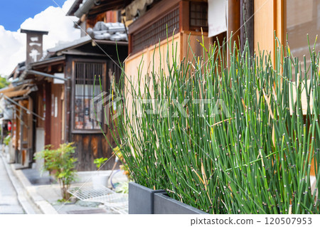 京都市祗園的城市景觀 京都市祗園的城市景觀 120507953