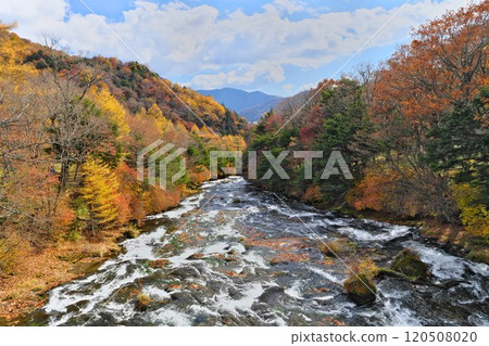 日光湯川兩岸點綴著明亮的秋葉 日光湯川兩岸點綴著明亮的秋葉 120508020