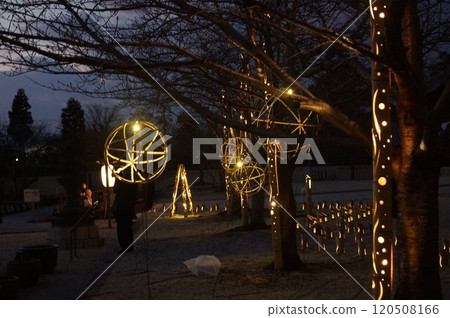 高田本山竹燈 120508166