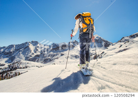 Mountaineer skier with sealskins Mountaineer skier with sealskins 120508294