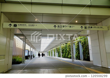 從山口縣山口市南新幹線檢票口前眺望JR新山口站南北自由通行垂直花園 120508299