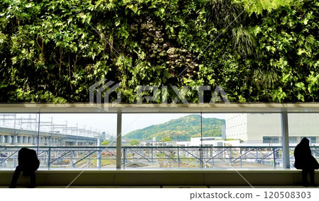 JR Shin-Yamaguchi Station North-South Free Passage Vertical Garden A beautiful landscape with a contrast between the green wall and the windows Yamaguchi City, Yamaguchi Prefecture 120508303