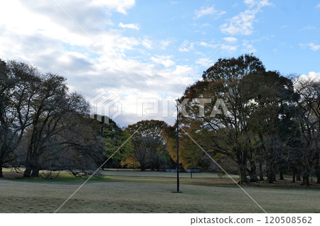 都立衣田公園廣場 120508562