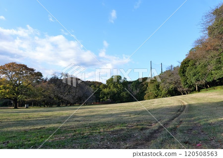 都立衣田公園廣場 120508563