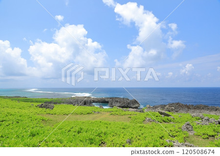 伊良部島白鳥崎的海岸線及其岩石珊瑚礁 伊良部島白鳥崎的海岸線及其岩石珊瑚礁 120508674