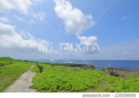 Tropical scenery of the promenade at Shiratorizaki, Irabu Island 120508688