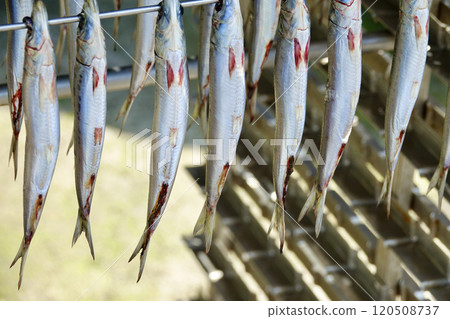 漁村發現的魚乾，帶著海風的味道 120508737