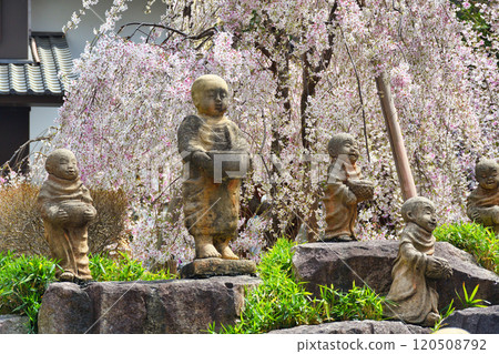 Kyoto Shiunzan Chohoji Temple Rokkakudo Sixteen Arhats (Nakagyo Ward, Kyoto City) Kyoto Shiunzan Chohoji Temple Rokkakudo Sixteen Arhats (Nakagyo Ward, Kyoto City) 120508792